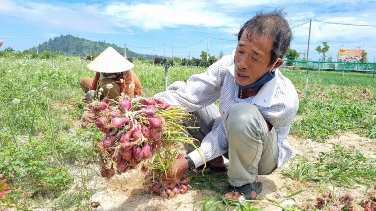 văn hoá lý sơn