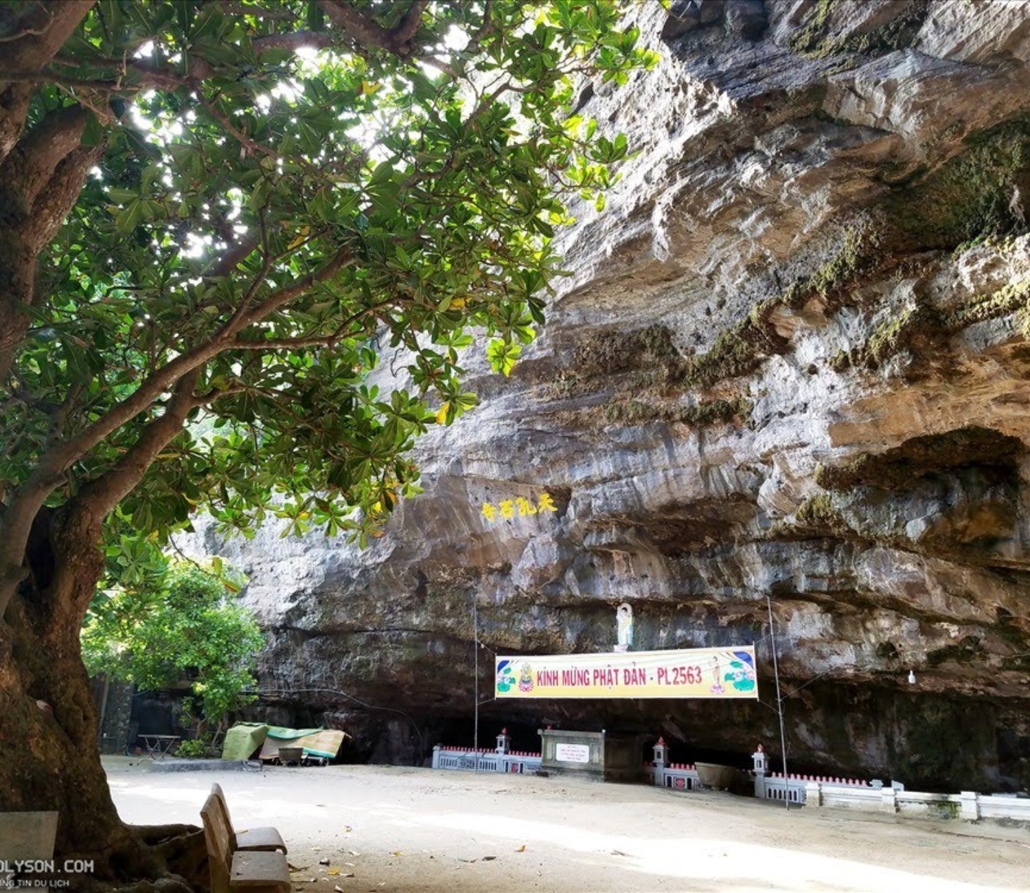 48 giờ khám phá đảo Lý Sơn