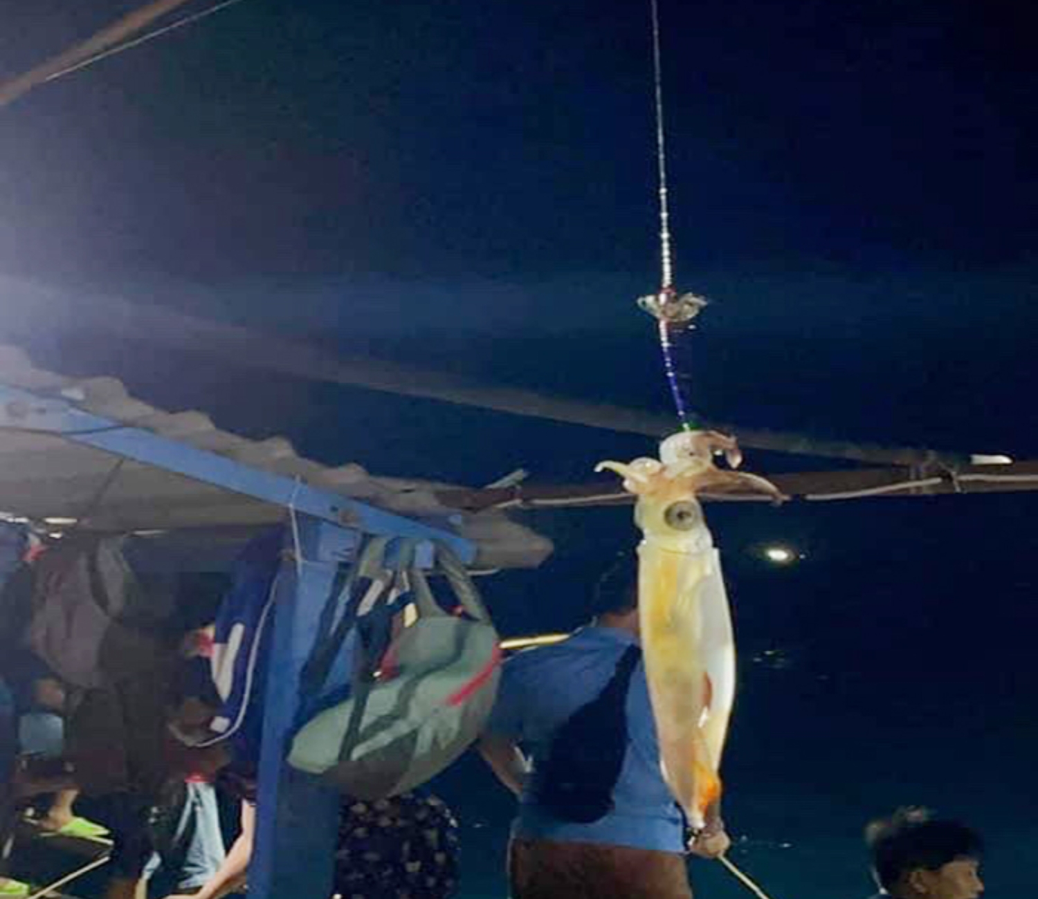Lý Sơn về đêm