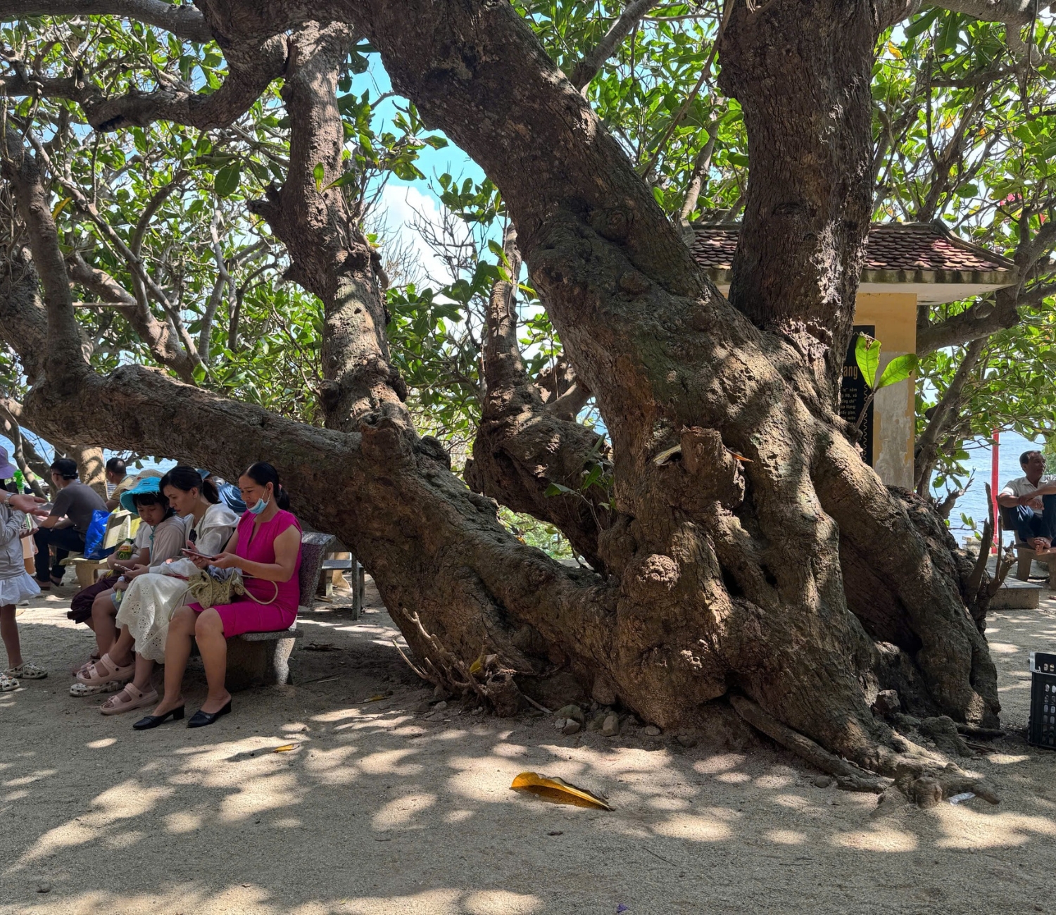 Chùa Hang Lý Sơn