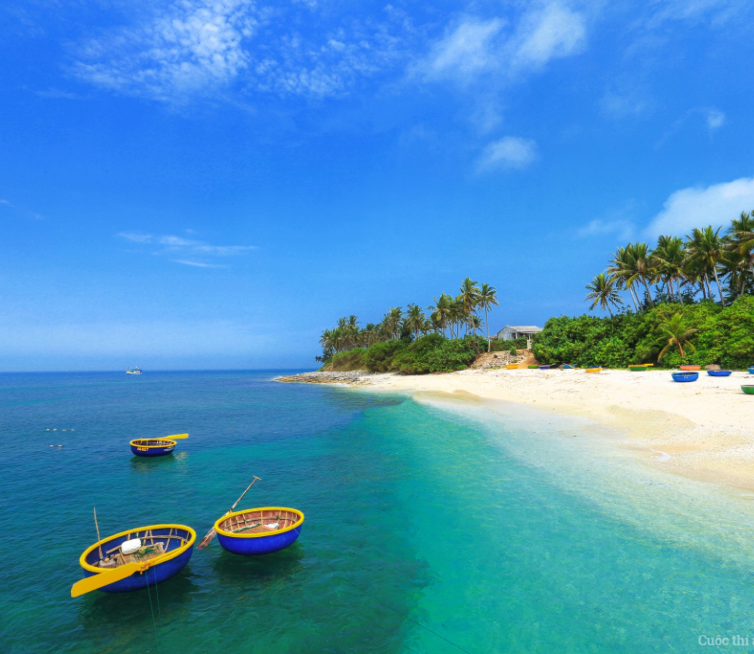 Mùa hè sôi động ở Lý Sơn