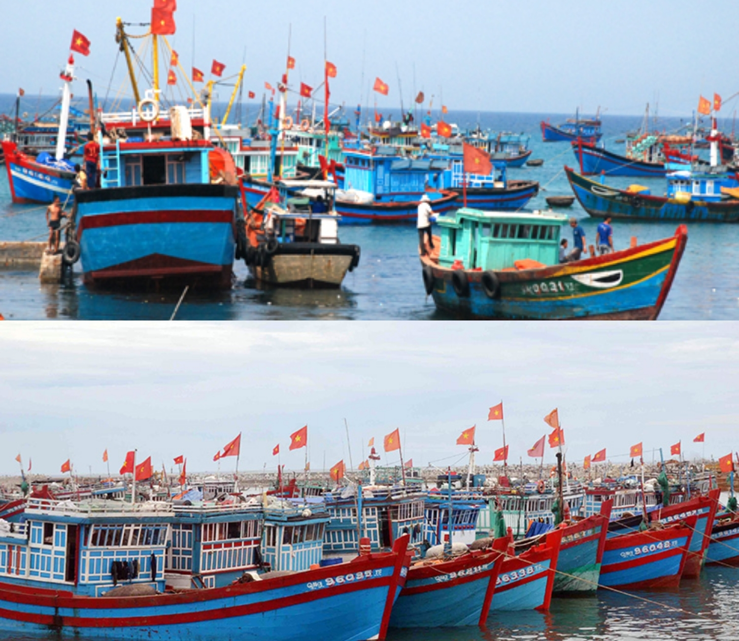 Người dân Lý Sơn bám biển giữ Hoàng Sa