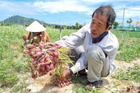 hành lý sơn (11)